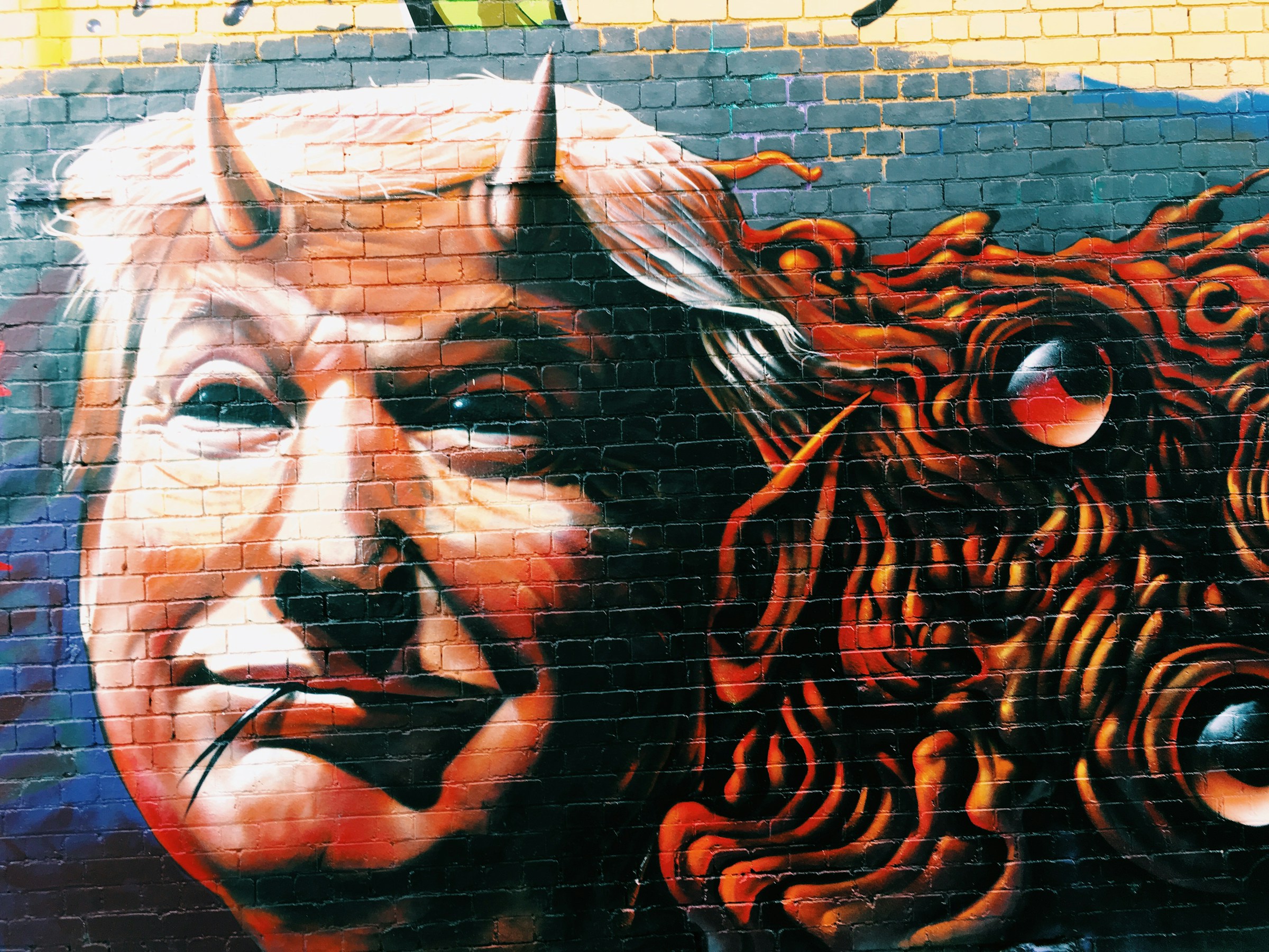Photo by [Jon Tyson](https://unsplash.com/@jontyson) on [Unsplash](https://unsplash.com/photos/donald-trump-with-horns-wall-mural-dH5TREvm9MA)