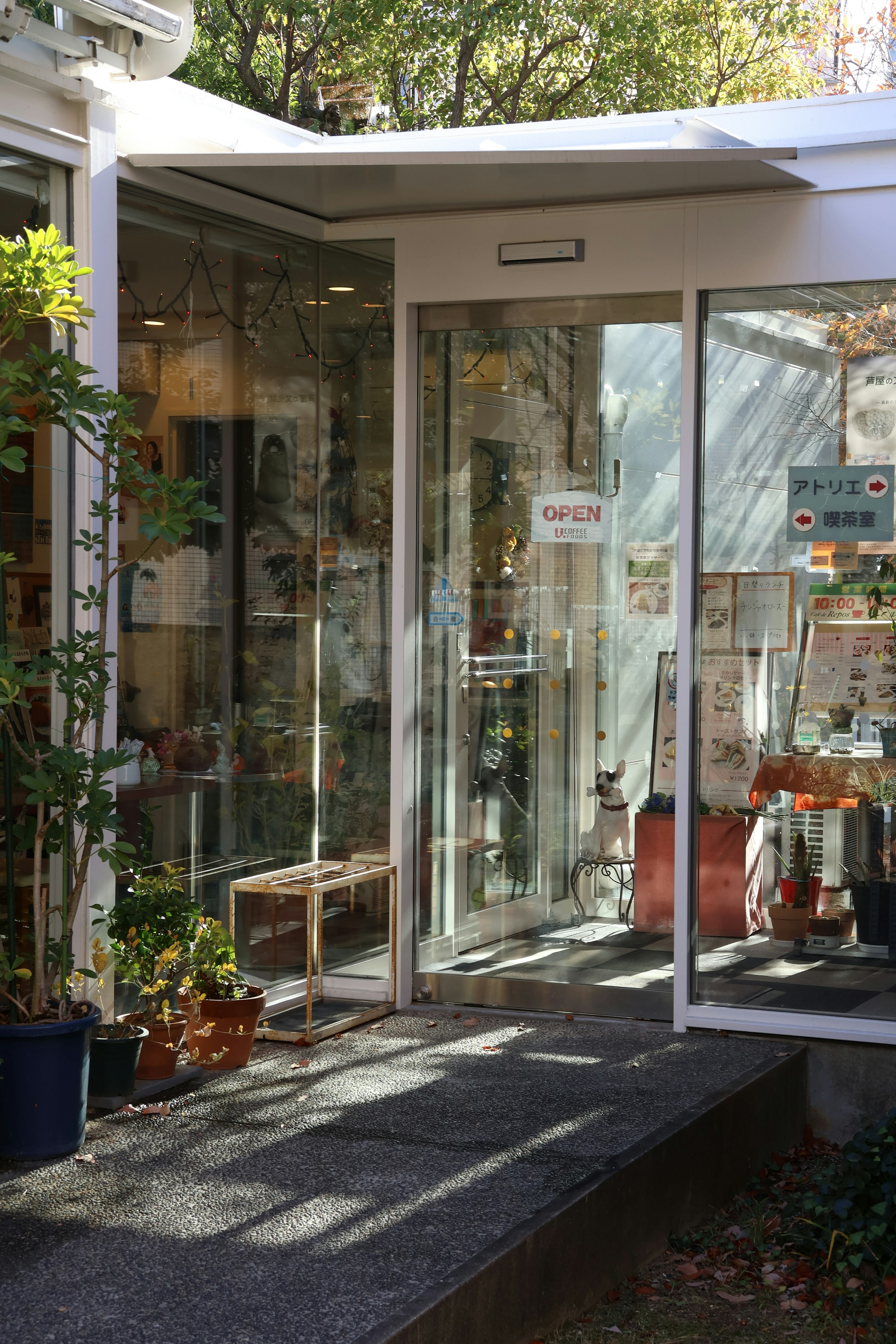 Photo by [Yanhao Fang](https://unsplash.com/@alamanga) on [Unsplash](https://unsplash.com/photos/a-store-front-with-a-lot-of-plants-in-it-vo6-qz_7Ckw)