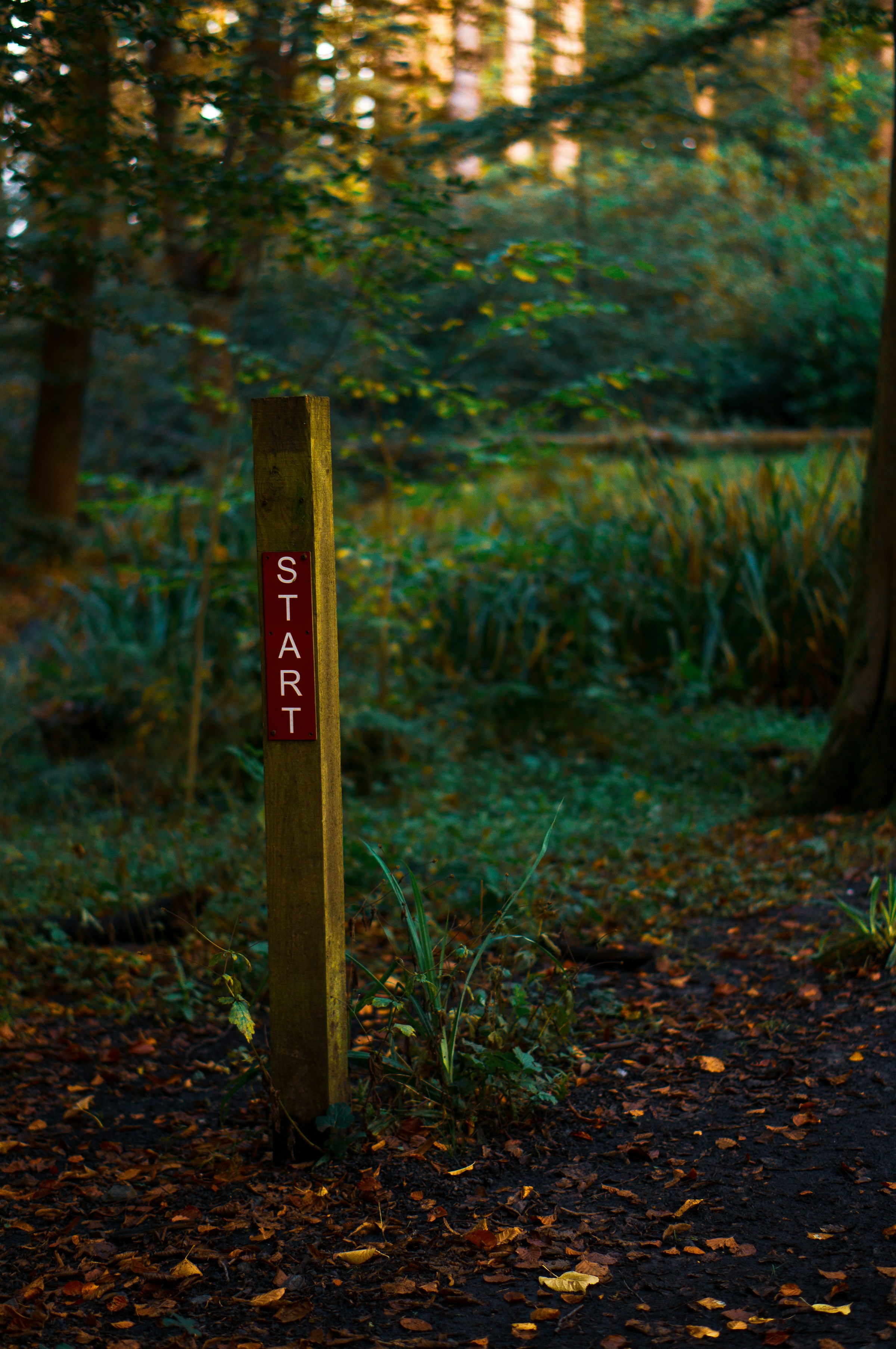 Photo by [Eilis Garvey](https://unsplash.com/@eilisgarvey) on [Unsplash](https://unsplash.com/photos/a-wooden-sign-sitting-in-the-middle-of-a-forest-1QCoQKKEq1M)